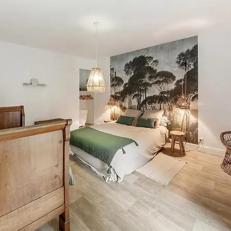 1 Bedroom Awesome In Tremblay